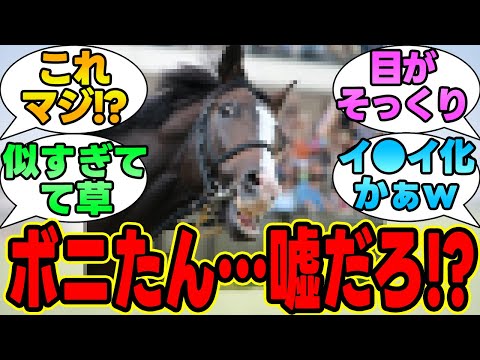 【悲報】イスラボニータさん、世界最強の"あの馬"に似てきてしまうｗｗｗに対する競馬民の反応集