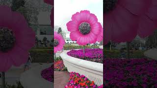 Epcot - Flower and Garden #topiary #flowerandgardenfestival #flower #figment #journeyintoimagination