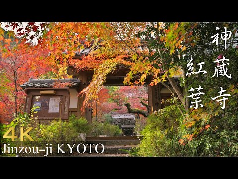 神蔵寺の紅葉 2021【京都・亀岡の紅葉】