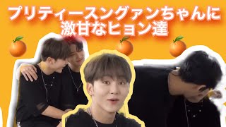 【SEVENTEEN/セブチ】スングァンこんなに可愛いとヒョン達もよしよししたくなるよね🥰🥰#セブチ #スングァン#ぎゅぶ