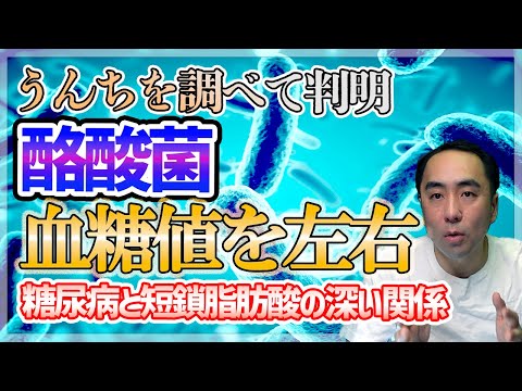 【糖尿病】うんちを調べて判明した酪酸菌と血糖値の深い関係【論文、短鎖脂肪酸、腸活、健康】