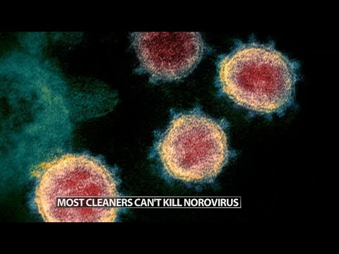 Here's how to protect against norovirus