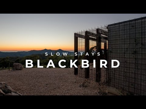 UNIQUE ACCOMMODATION | Blackbird - A haven in the Byron Bay Hinterland | SLOW STAYS