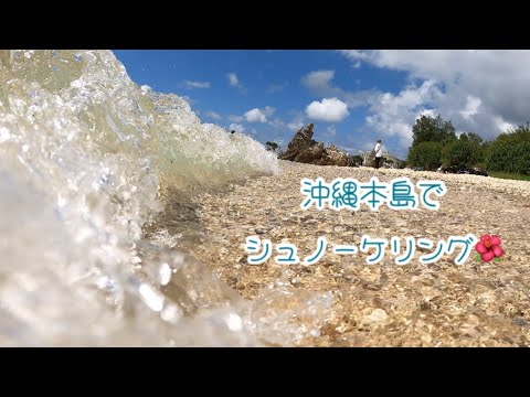 台風🌀の晴れ間にシュノーケリング💕　(ゴリラチョップ)  ちょっと透明度悪いねSnorkeling in Okinawa  2024.Sep.27