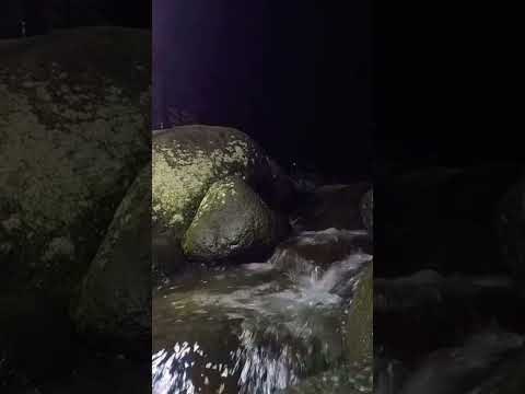 The beautiful flow of river water at night #river #riversounds #riversoundsrelaxing #soothingsound