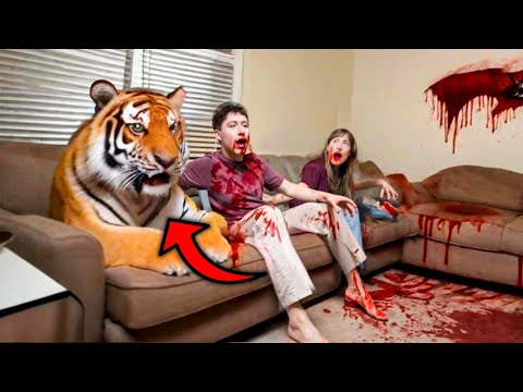 These 4 Pets ATE Their Owners ALIVE in Front Of EVERYONE!