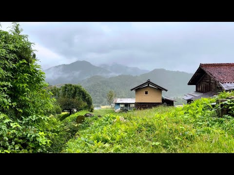 Walking in the Rain, Japanese Countryside The Most Beautiful Scenery in Nagano, Japan