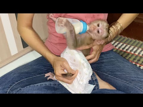 Mom wears a new diaper for adorable little boy