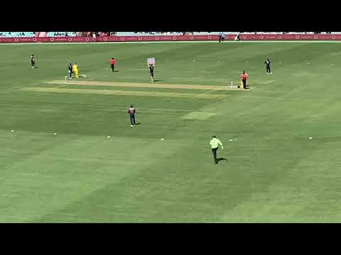 Rare footage of Protesters disrupting match. India vs Australia @ SCG 2020.