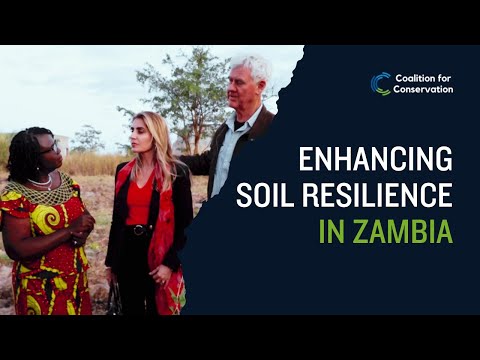 Enhancing Soil Resilience in Zambia