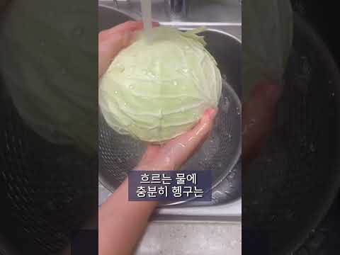 양배추는 어떻게 씻어야 할까?🥬