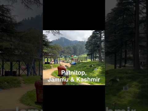 Patnitop, Jammu&Kashmir #jammu #kashmir #nature #travel #shorts #viral #reels