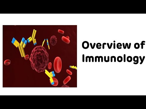 Overview Of Immunology By Anandita Jha || Biochemistry Basics By Dr Amit || Immunology