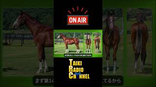 TAIKIRADIO #1 #大樹レーシング #一口馬主 #horse #shorts