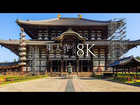 [World Heritage] Visit Todai-ji Temple and Kasuga Taisha Shrine - JAPAN in 8K