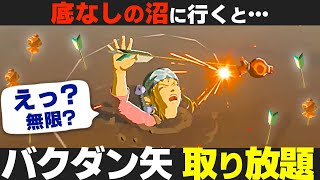 [ブレワイ] バクダン矢増殖！序盤のオススメ弓矢・入手場所 [ゼルダの伝説　ブレスオブザワイルド]