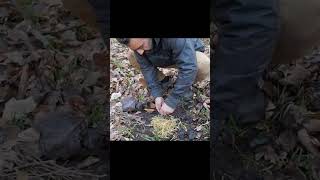 Making hidden house under the tree in forest before dark #survival #camping #shorts