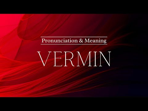 How to Pronounce: Vermin | British Pronunciation & Meaning