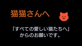 「猫猫との暮らし」さんへ伝えたいこと。猫たちの幸せのために。