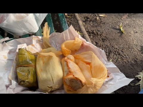 Los Tamales mas grandes que yo haya probado (están en la CDMX)