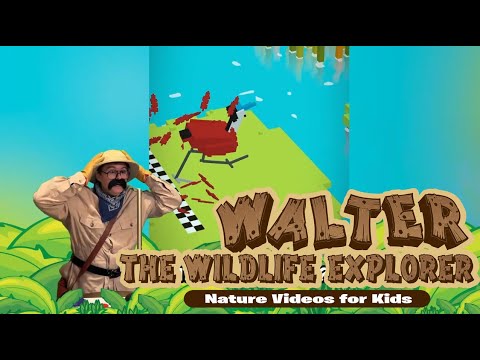 Walter Discovers the Epic Step Safari Adventure Game!