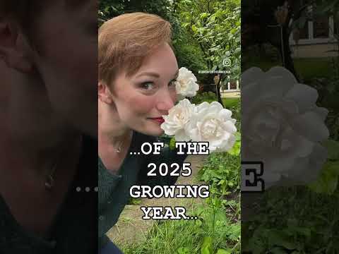 FOLLOW EVERY DAY OF 2025 IN MY GARDEN-SUBSCRIBE NOW #gardening #cottagegarden #kitchengarden #2025