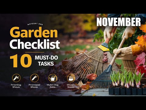 10 Essential Garden Tasks You MUST Do in November!