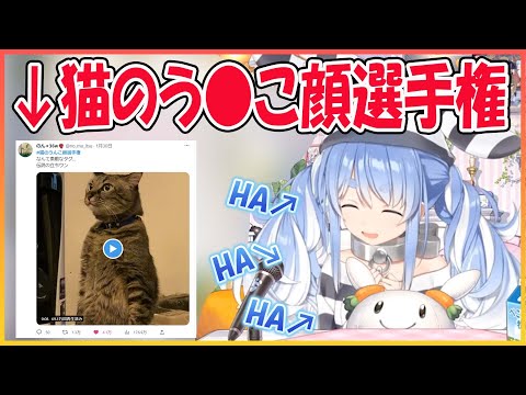 【ホロライブ切り抜き】猫のう●こ顔選手権のバズツイートに腹筋が崩壊するぺこら【兎田ぺこら/hololive】