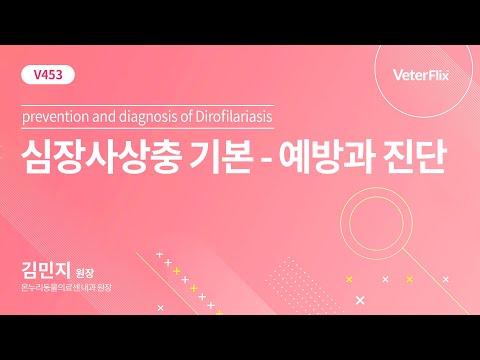 [베터플릭스][심장사상충 기본] 예방과 진단 (prevention and diagnosis of Dirofilariasis)