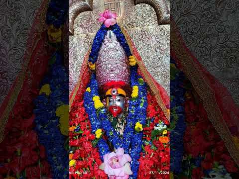 Taramaa #tarapith #maa #maatara #bhakti #taramaa