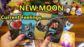 NEW MOON CURRENT FEELINGS UNKI TRUE FEELINGS KYA HAI UNKI AAPKE LIYE? CANDLE WAX READING HINDI TAROT