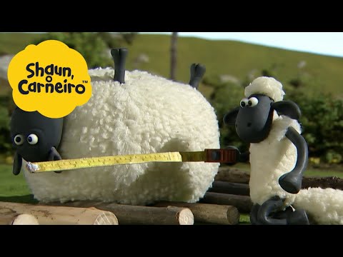 🐑Shaun, o Carneiro [Shaun the Sheep] Medir ovelhas 🐑 Hora Especial🐑| Cartoons Para Crianças