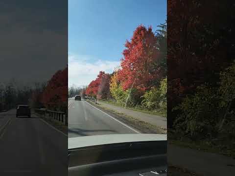 SCENIC DRIVE FOR YOUR MENTAL HEALTH | FALL SCENIC DRIVE