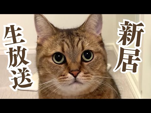 みにら日記2代目ハウス生放送！！