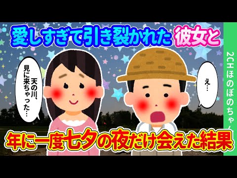 【2chほのぼの】愛に惚けすぎて引き裂かれた俺たちが、年に一度だけ七夕の夜に、天の川の星空の下で会い続けた結果…【ゆっくり】