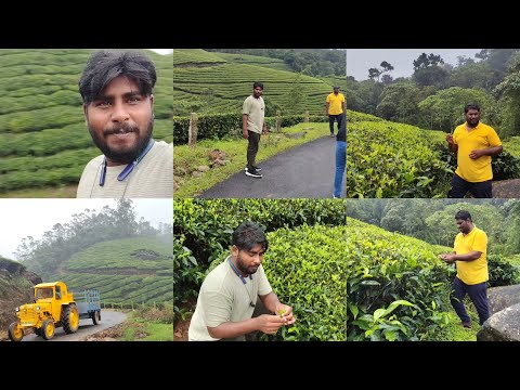 MUNNAR TRIP KERALA || IDLI HILLS || GREEN VALLY || FRIENDS || TRIP ENJOYMENT || KERALA TRIP || VIRAL