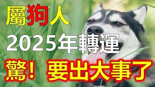 生肖狗在哪年迎來大運？2025年是否為狗人換運之年狗是忠誠善良的象徵，生肖狗作為中國傳統文化中十二生肖之一，生肖都有自己的運勢和運程，生肖狗在哪年迎來大運呢？2025年是否為屬狗人大運之年