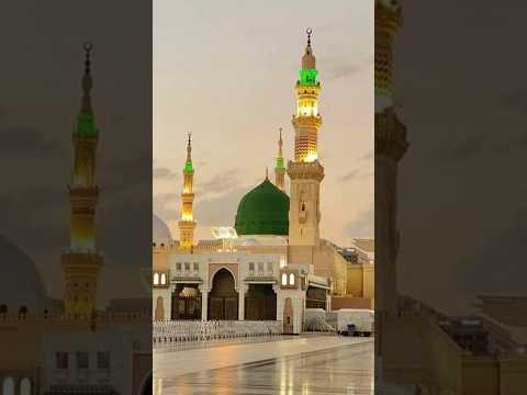 Ye soona hai ke bhut gor anderi hagi #madina #madinah #naatsharif #shortindia #short