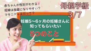 妊娠5〜6ヶ月(妊娠中期)の妊婦さんに知ってもらいたい5つのこと