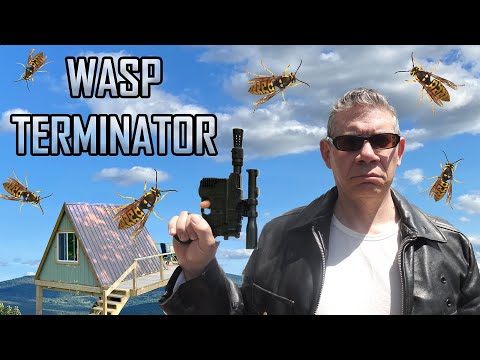 Save Your Glamp Site from a Wasp Invasion |  How to Get Rid of Wasps