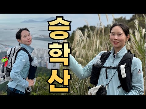 부산 승학산 억새 l 부산 초보 등산, 등린이 l 부산 가볼만한 곳