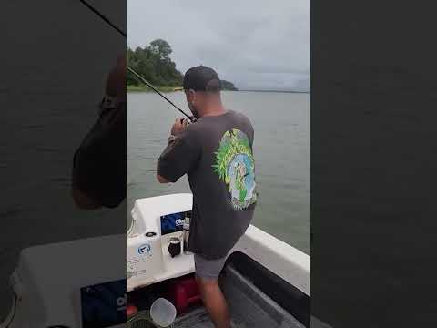 La buena pesca!