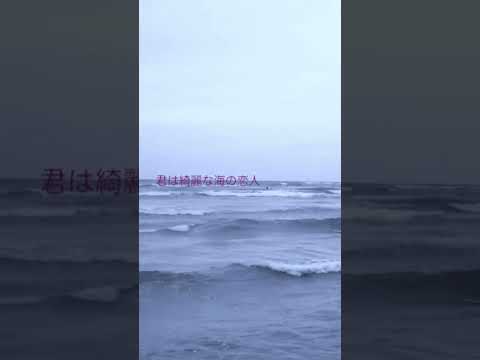 海は恋してる　ザリガニーズ