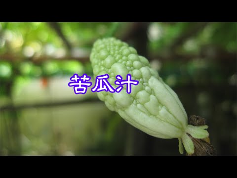 苦瓜汁，苦瓜與蘋果或鳳梨最對味，口感可加分