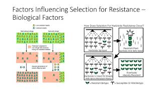 Pesticide Resistance