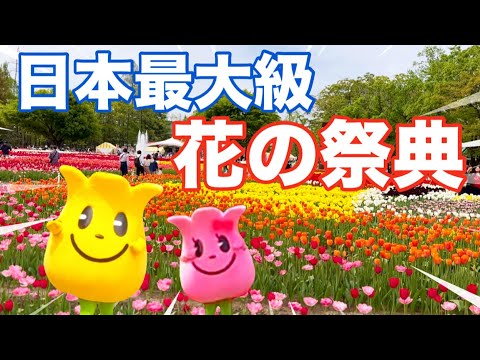 【２０２４年】となみチューリップフェア富山県・砺波市の春の祭典！