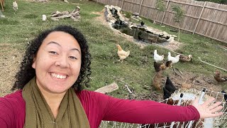 TEXAS FALL! | Half Acre Homestead Walk Through | What’s In Our Yard? | Backyard Animals