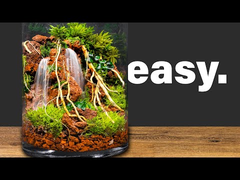 Easy to Make Two Running Waterfalls Terrarium