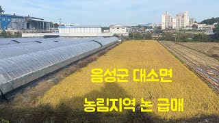 음성군 대소면 농림지역 논급매