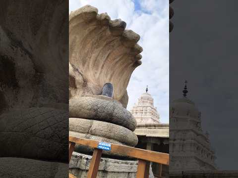 #shiva Veerabhadra Temple, Lepakshi